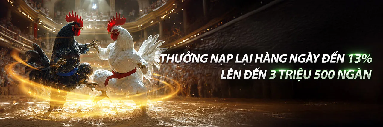 Đá Gà Cựa Sắt Thomo 2020 – CLB88